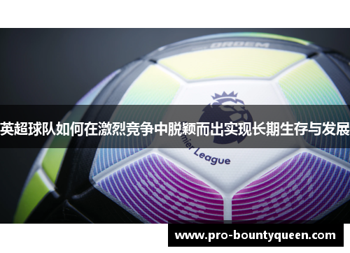 英超球队如何在激烈竞争中脱颖而出实现长期生存与发展 英超球队如何在激烈竞争中脱颖而出实现长期生存与发展