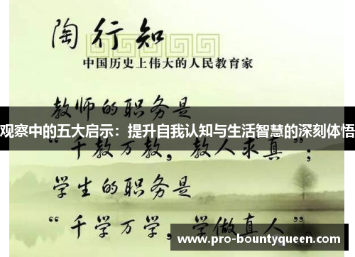 观察中的五大启示：提升自我认知与生活智慧的深刻体悟