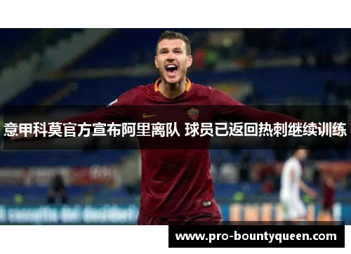 意甲科莫官方宣布阿里离队 球员已返回热刺继续训练