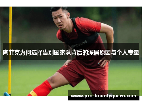 陶菲克为何选择告别国家队背后的深层原因与个人考量